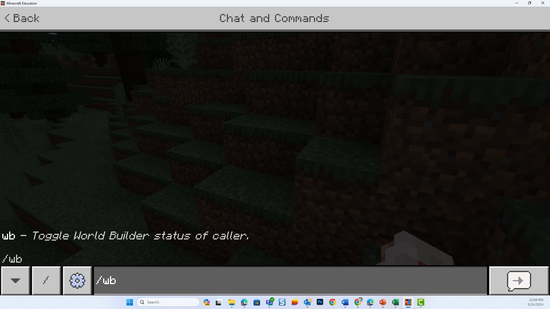 World Builder mode open down the bottom of the screen with status reading: wb &ndash; Toggle World Builder status of caller.