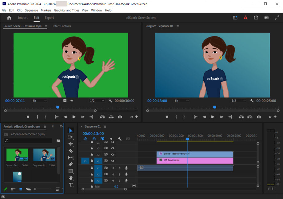 Premiere Pro workspace showing a cartoon character. The bottom half of the screen shows the project assets, the ‘Sequence’, audio track and two images.
